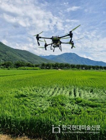 정선군, 379ha 규모 드론 방제 시범사업 추진