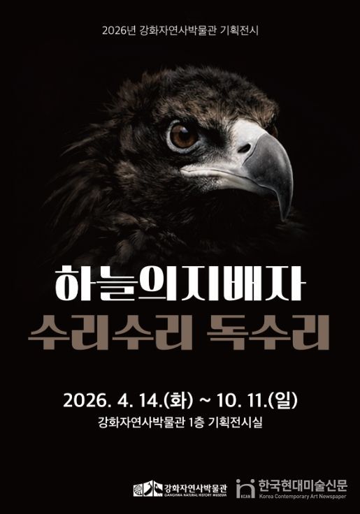 강화도 하늘의 지배자 ‘독수리’ 전시로 만난다